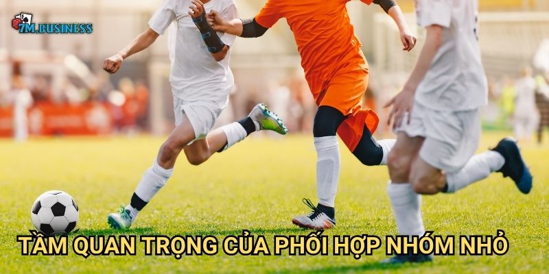 Tầm quan trọng của phối hợp nhóm nhỏ