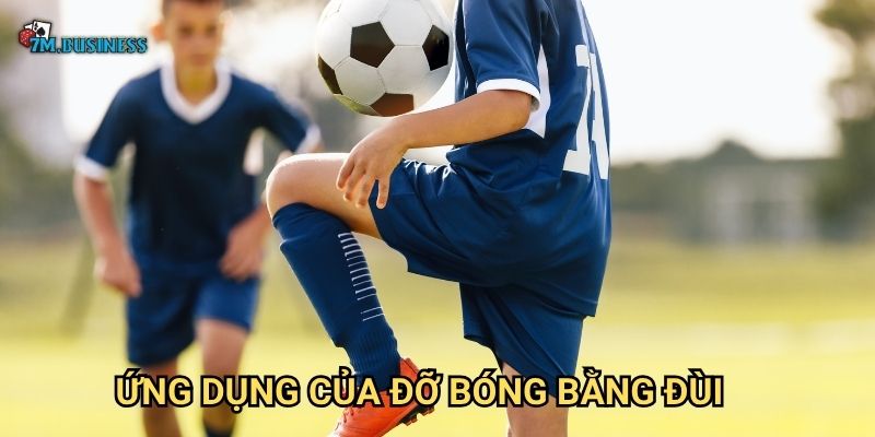Ứng dụng của đỡ bóng bằng đùi